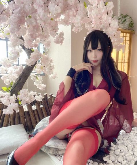 野花高清完整版免费观看视频电视_4K高清完整版播放